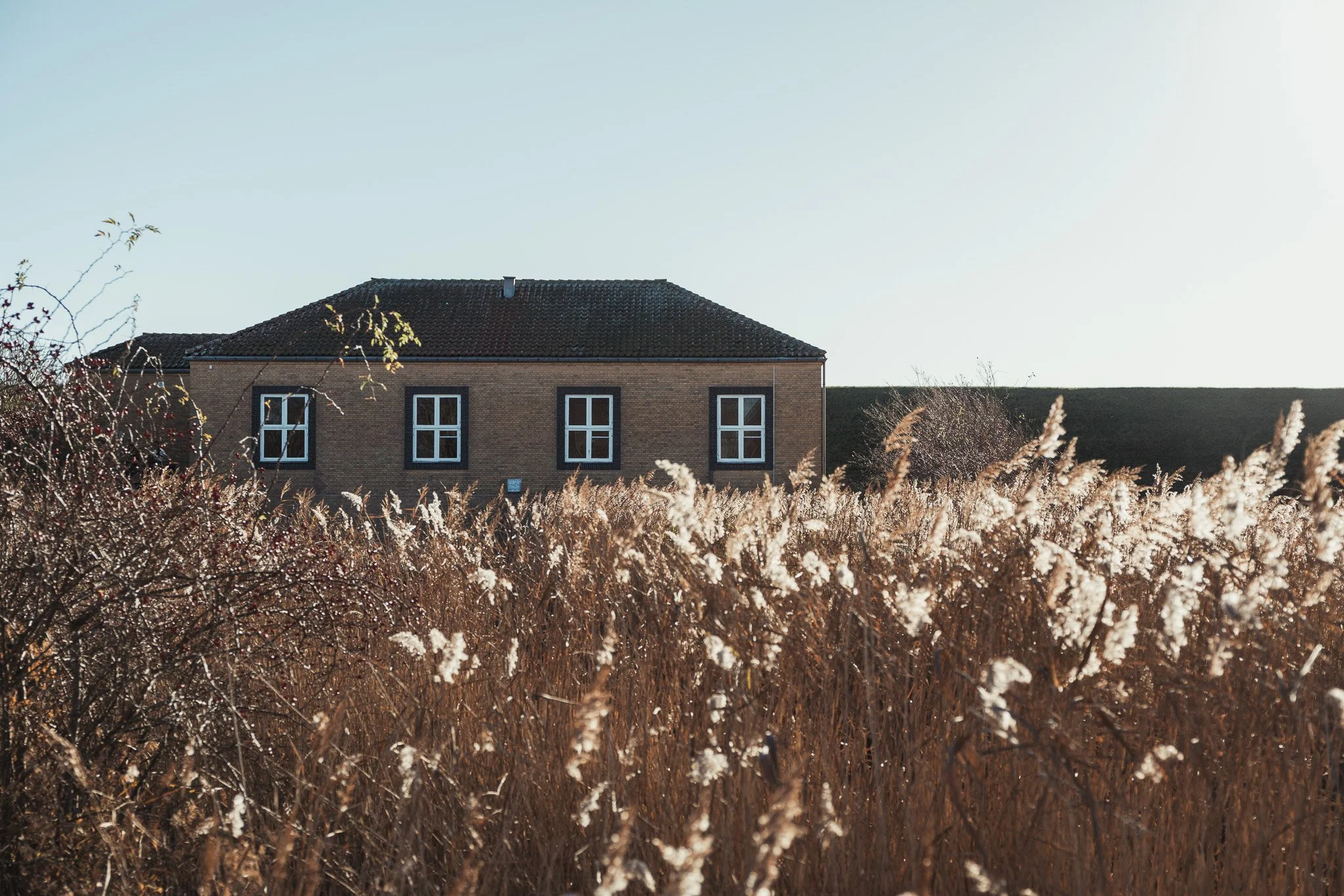 Amarmino_2025_santerijusslin web.jpg