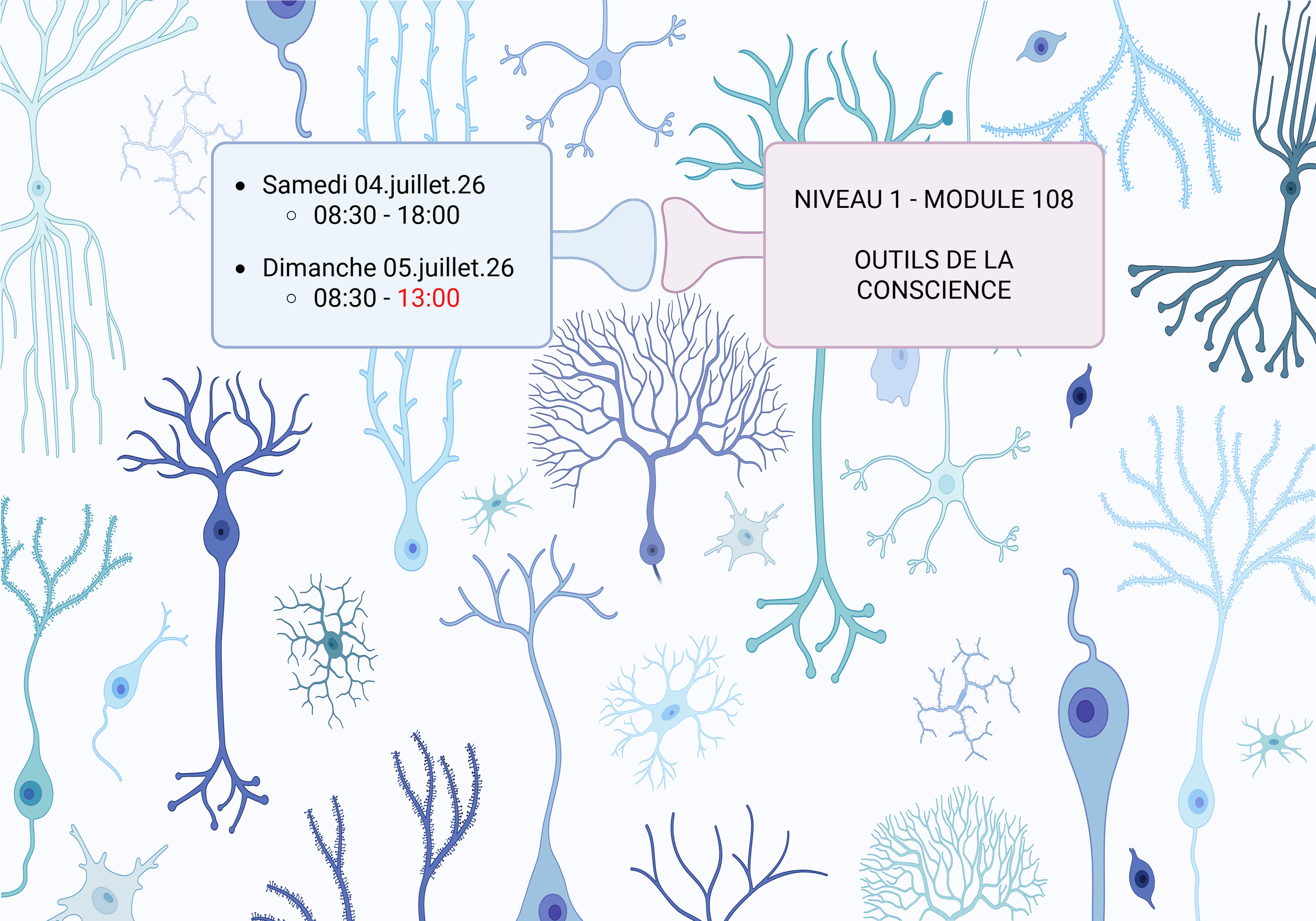 Illustration de neurones de différentes formes et tailles sur un fond blanc, avec deux boîtes de texte indiquant des dates et heures pour un événement.