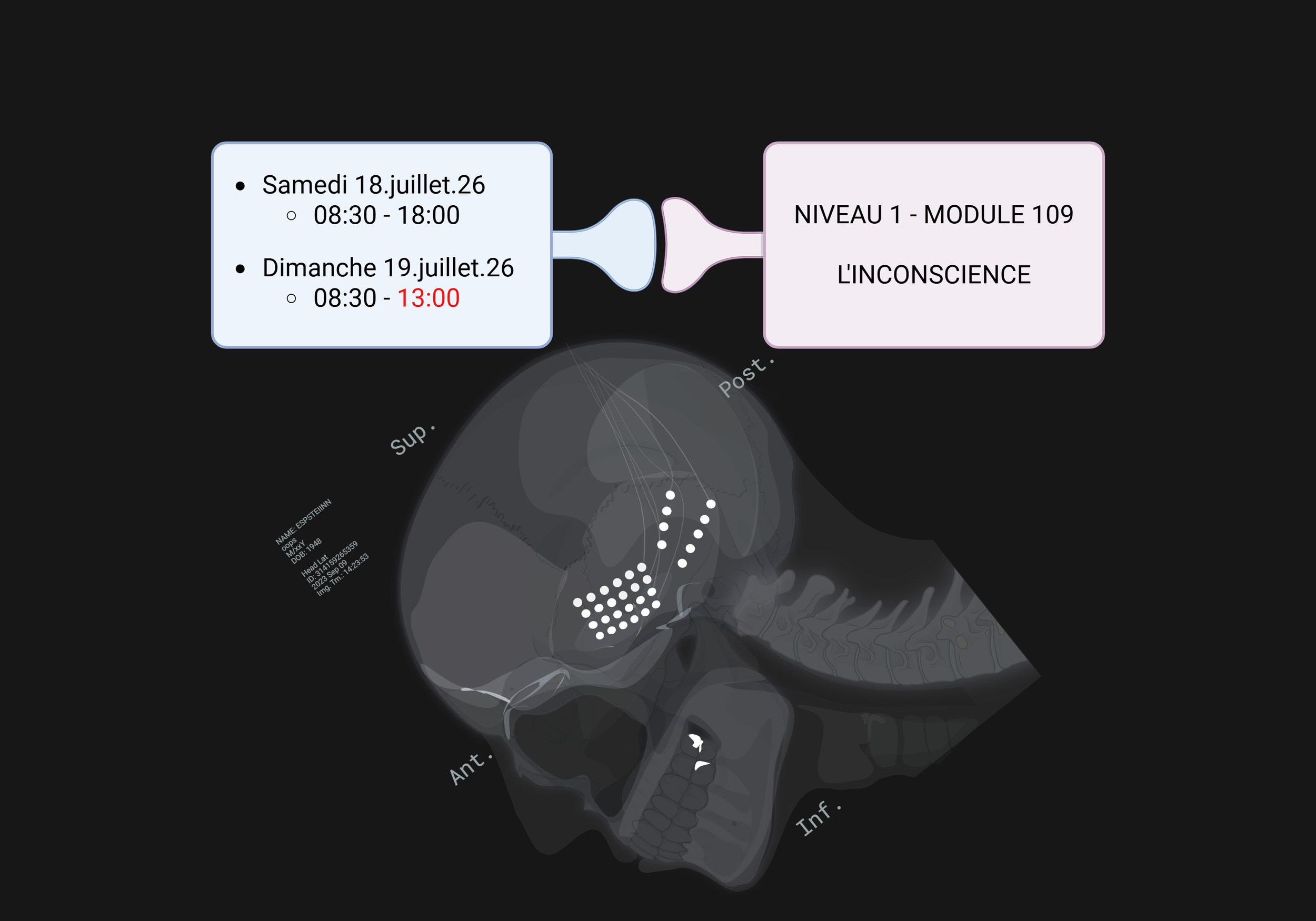 Diagramme montrant un planning de cours avec deux dates et heures incluses, relié à un texte indiquant un niveau et un module, et un fond avec une image d'un cerveau en radiographie.