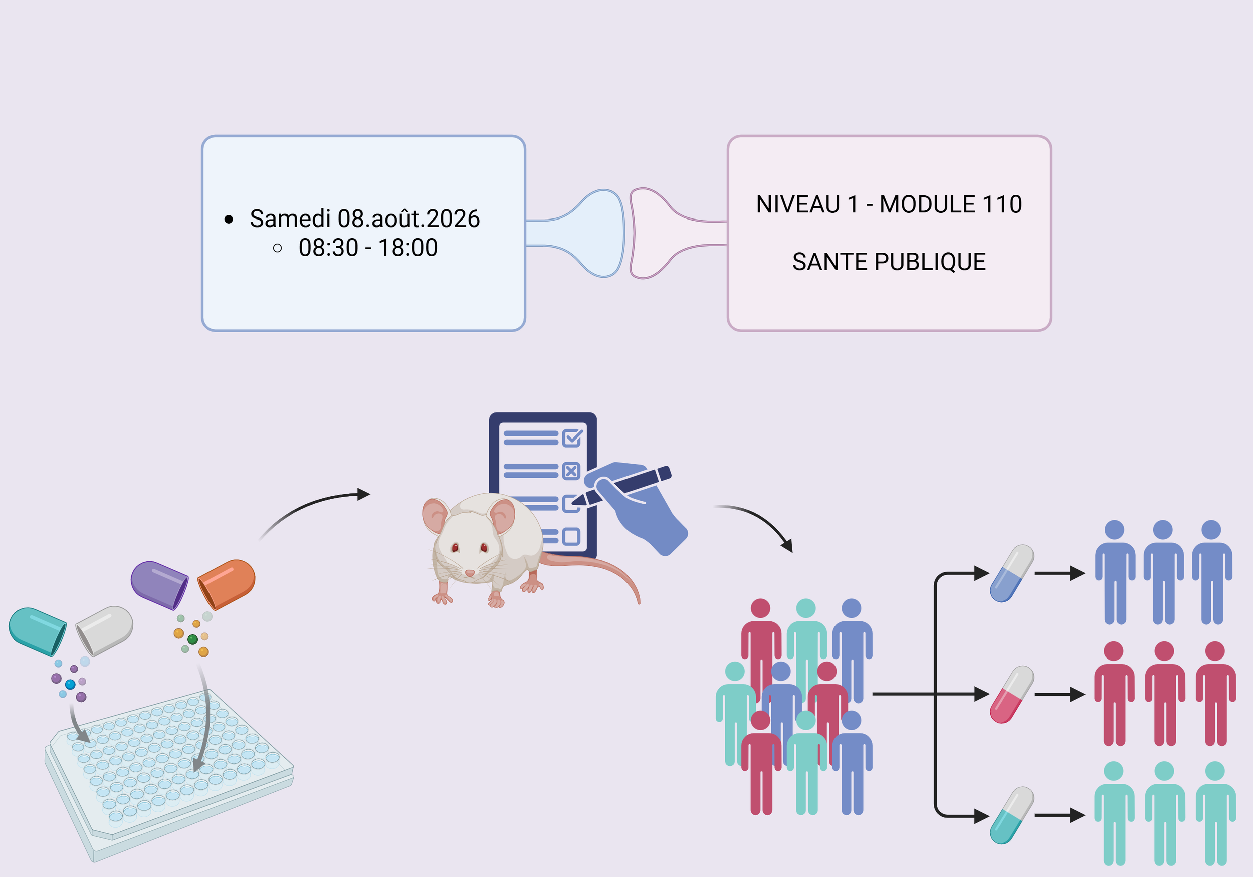 Processus de recherche et de traitement de médicaments pour la vaccination, avec recherche en laboratoire, expérimentation sur une souris, puis distribution de médicaments à différentes populations humaines.