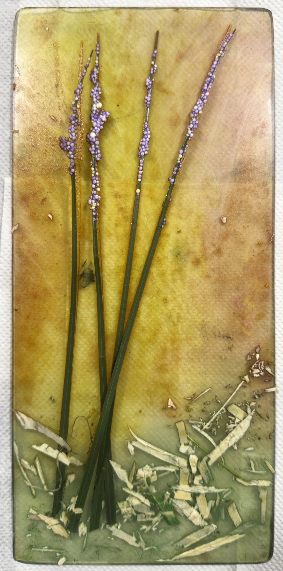 101 -Sweet Plate - IMG_0411.jpg