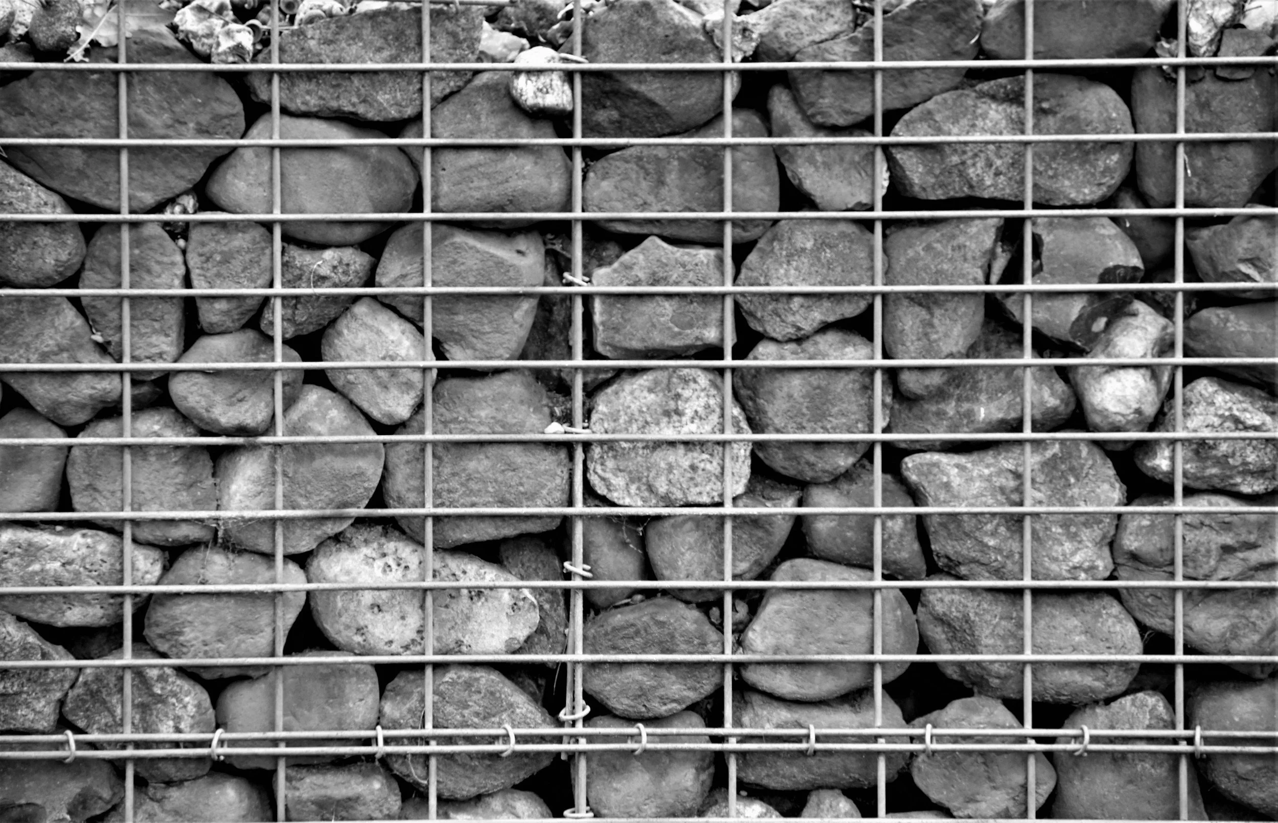 The Gray Rock Method: A Survivor’s Deep Dive into Disengaging from a Narcissist