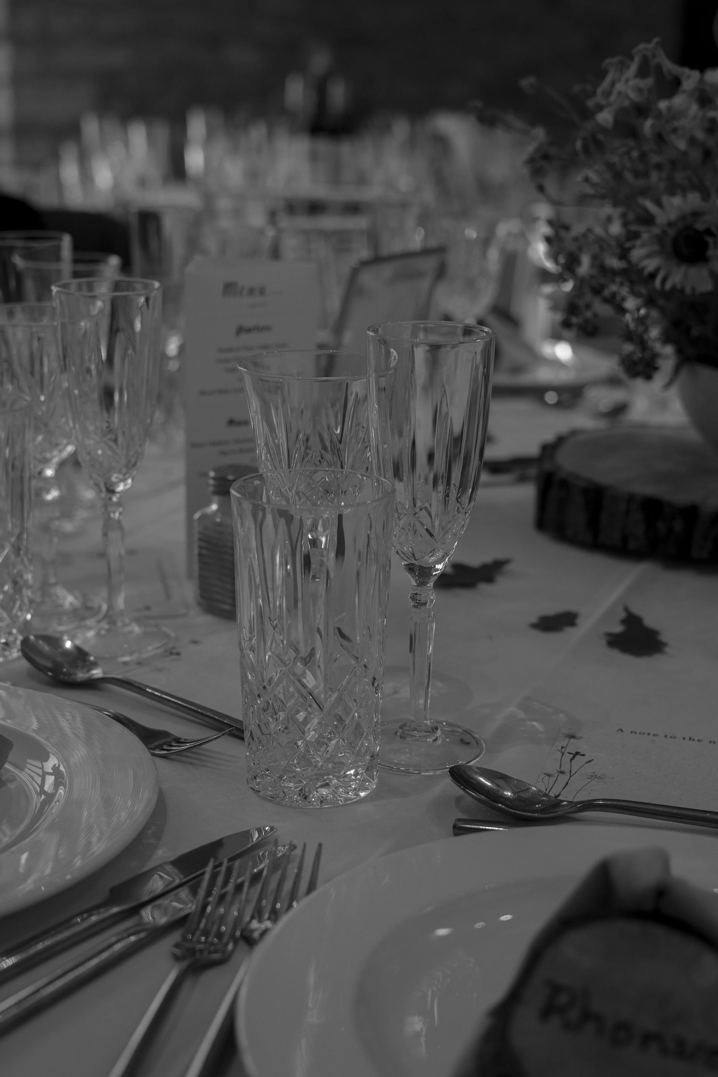 DSC08904.jpg