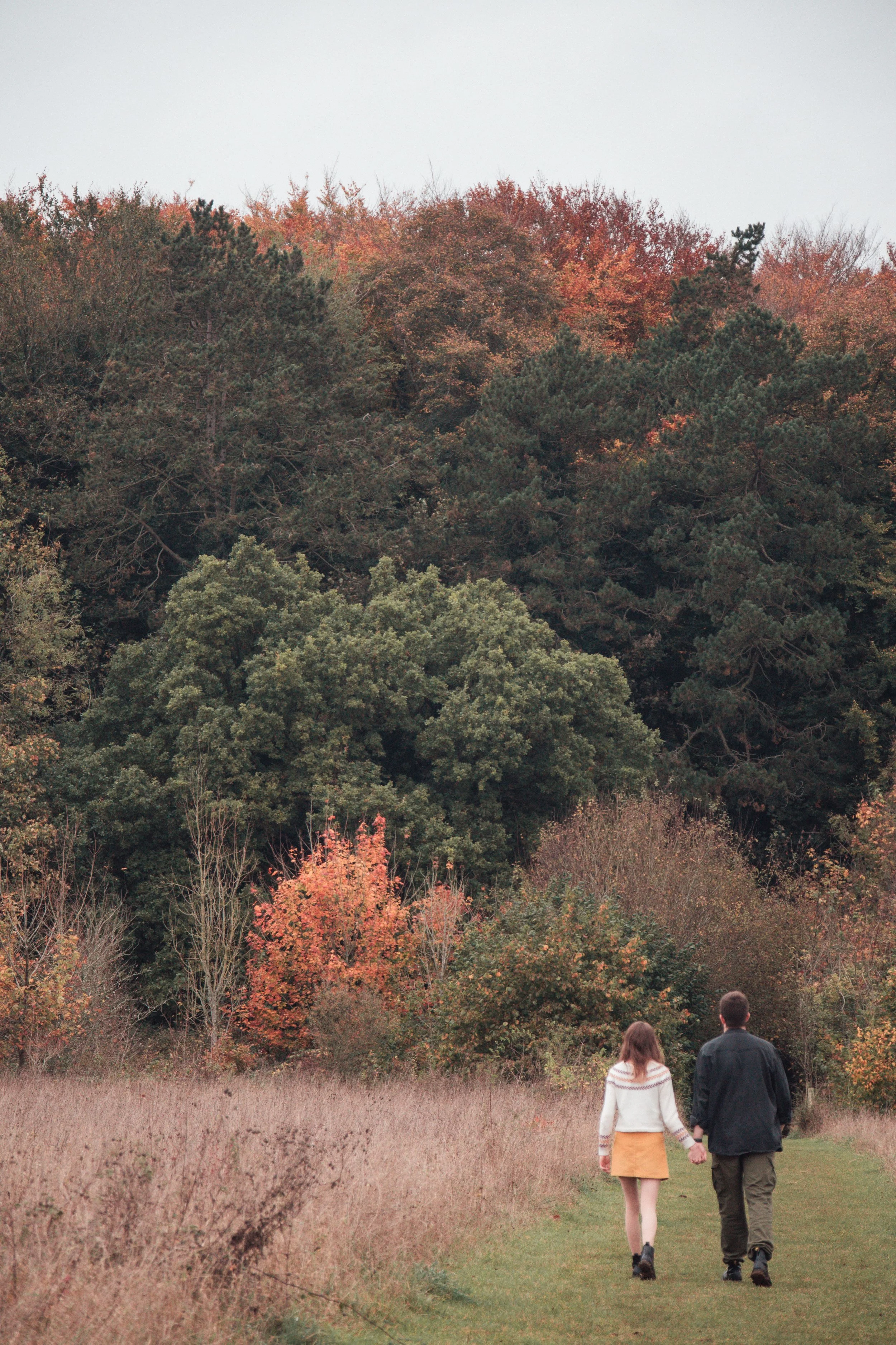 A couple holding hands and walking on a grassy trail surrounded by autumn trees with colorful leaves.
