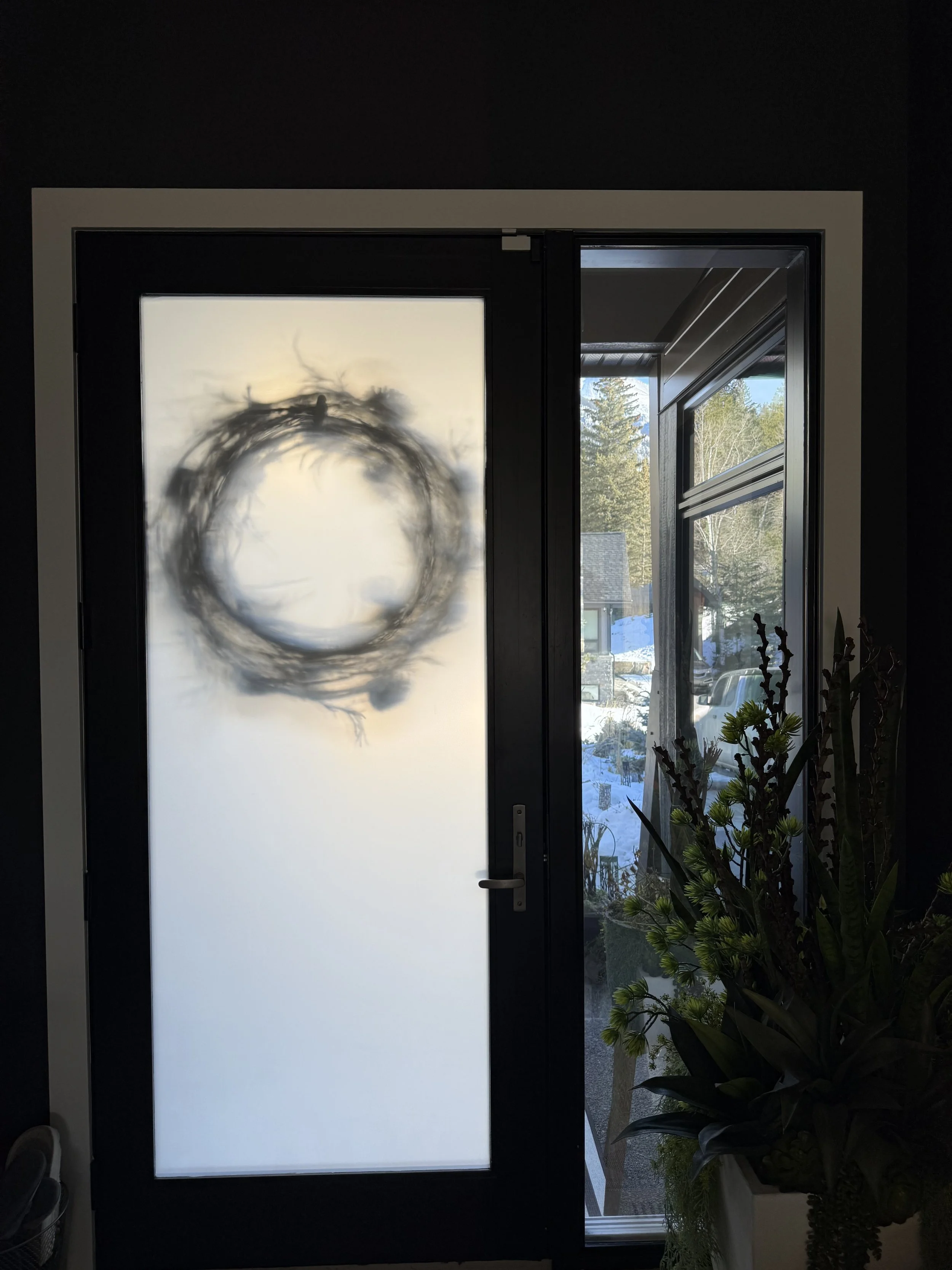 Front Door Privacy Covering