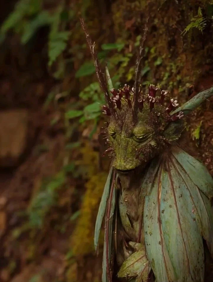 Adaptogenic parallel beings of Hitamuka Forest (part 2)🌲🌿🪷🪻

Using my own photographs to feed @midjourney

#aiart #midjourney #fantasyart #creatures #forestcreatures #magick