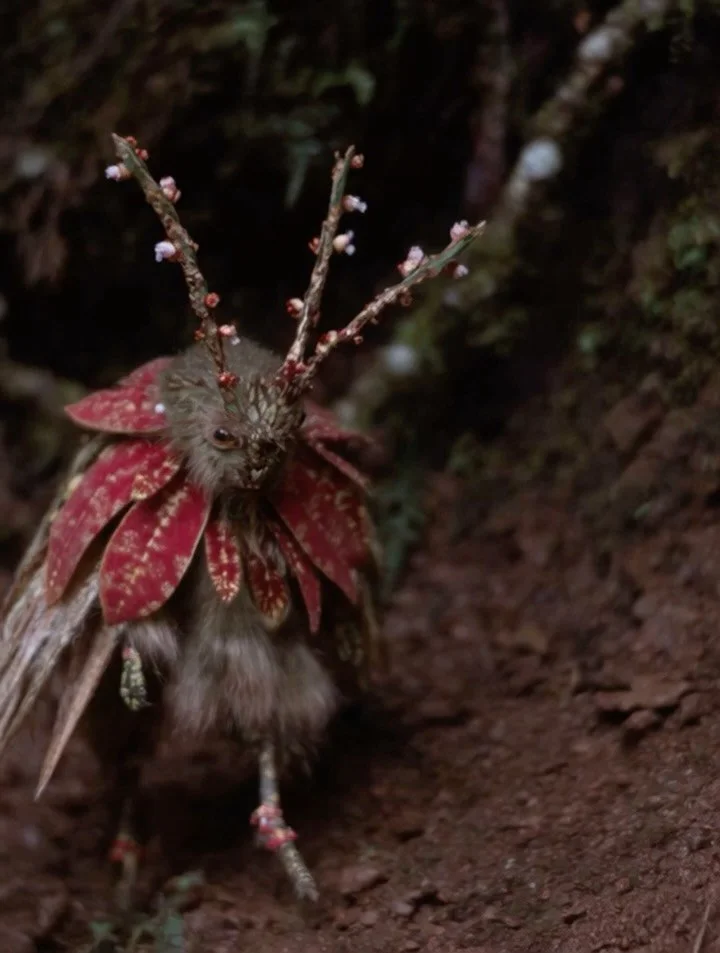 Adaptogenic parallel beings of Hitamuka Forest (part 1) 🌲🌿🪷🪻

Using my own photographs to feed @midjourney

#aiart #midjourney #fantasyart #creatures #forestcreatures #magick