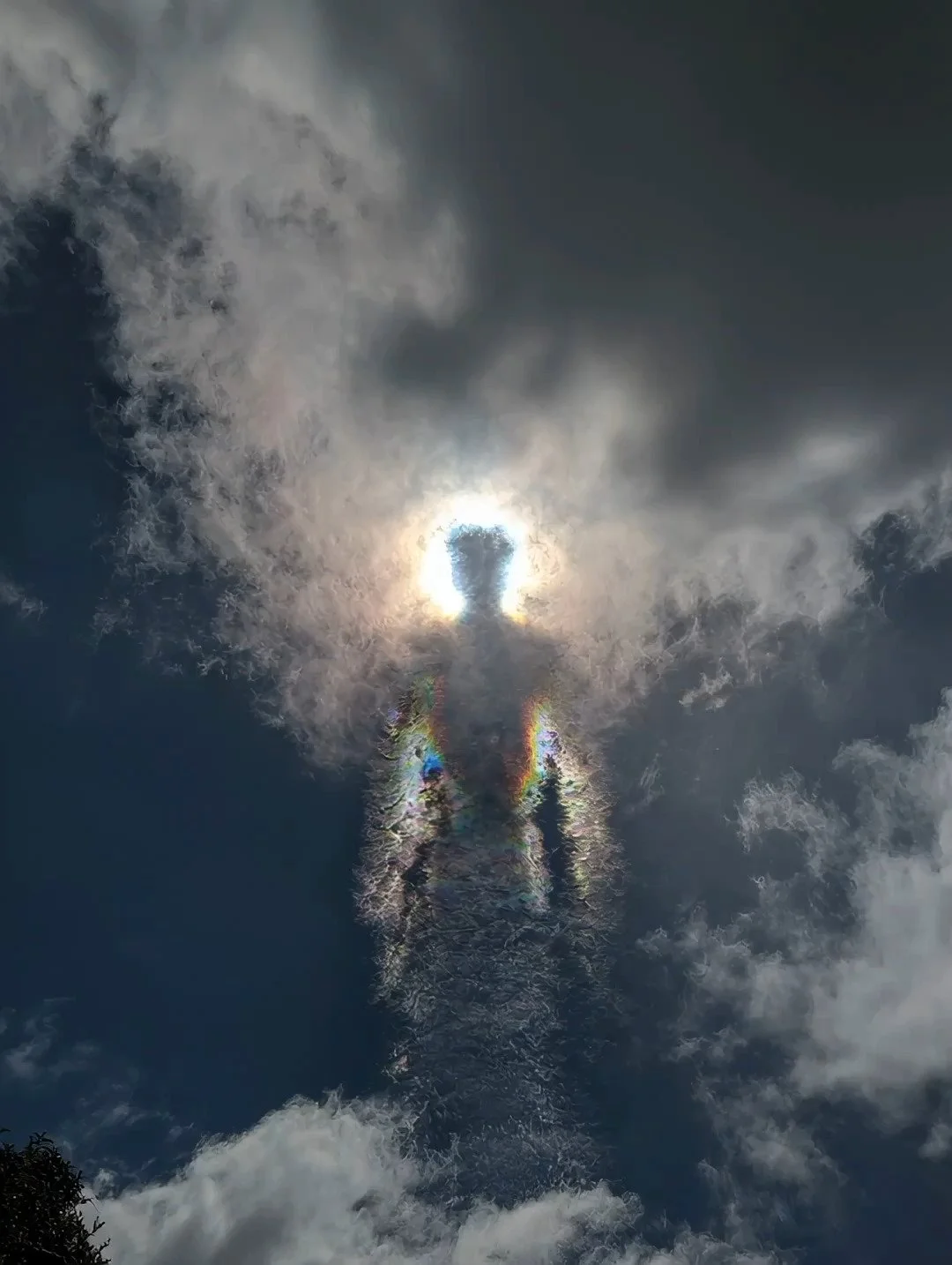 Prismatic Beings💦🌈

Music made in 2021 @florigenix

#aiart #prismatic #surrealart #midjourney