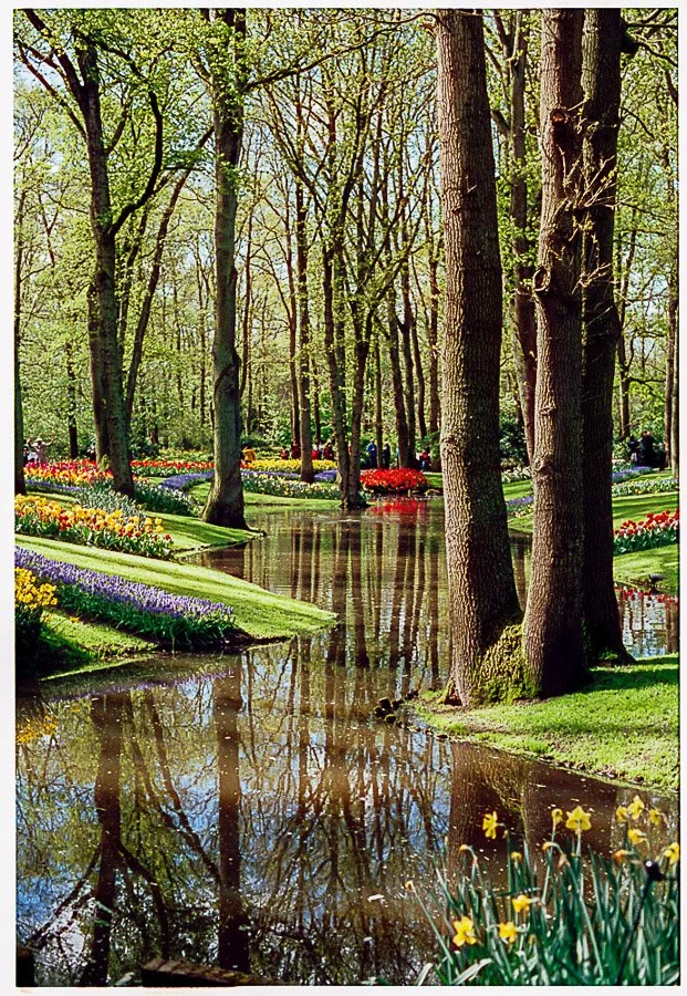 instagram size-1.jpg