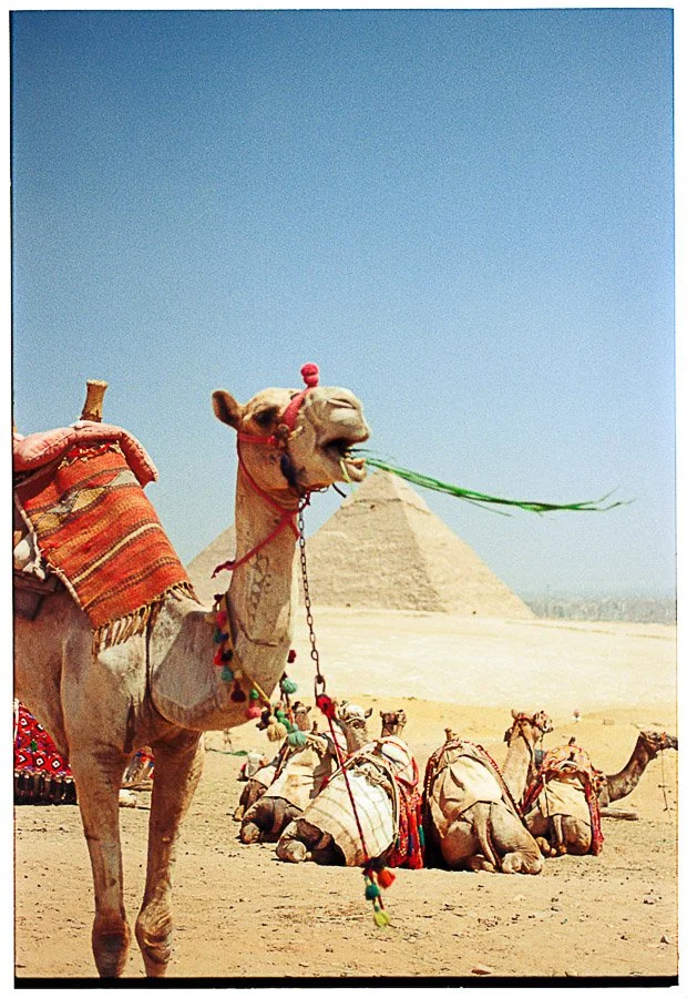 instagram size-8.jpg