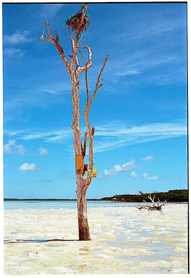 instagram size-4.jpg