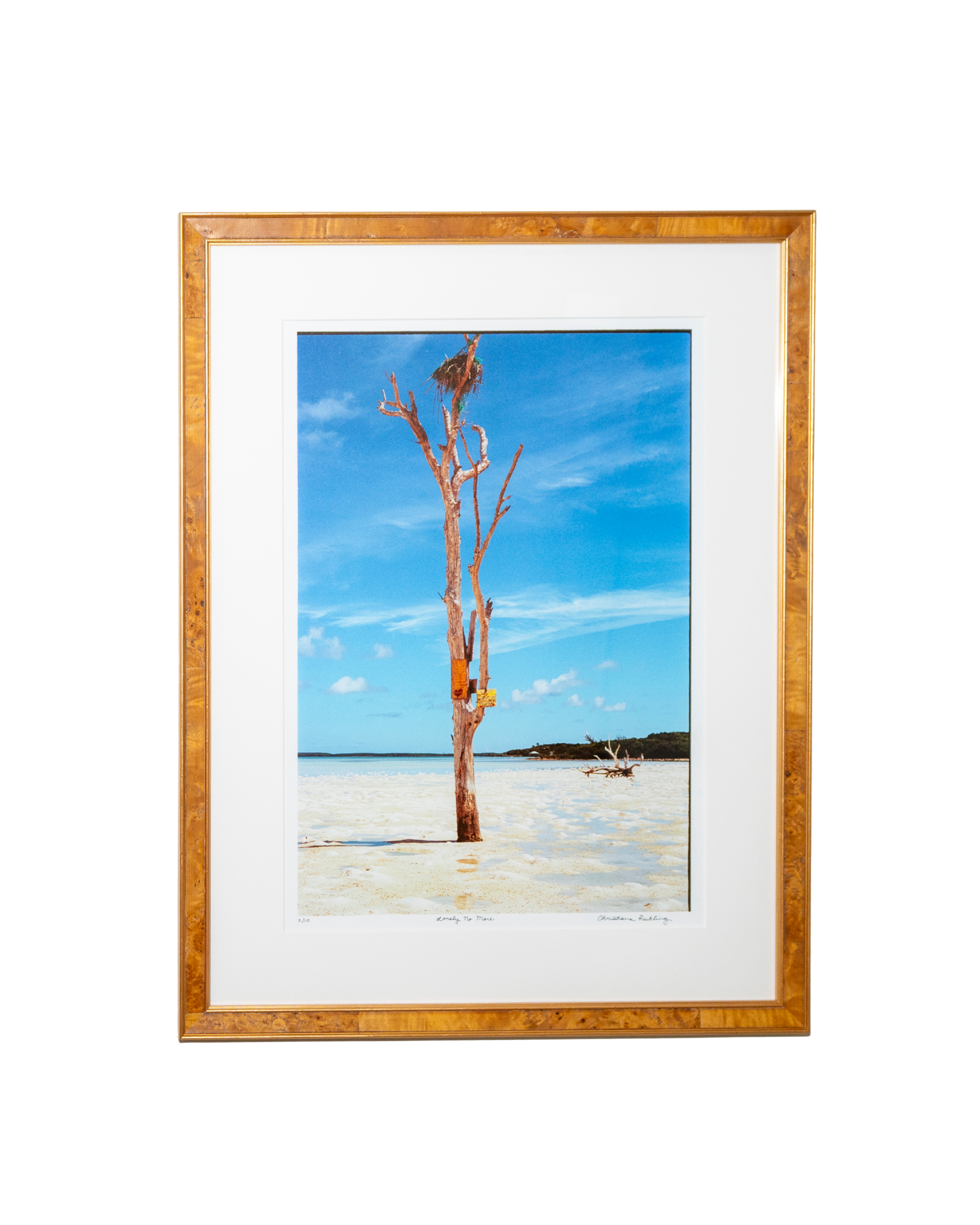 Lonely No More (framed)
