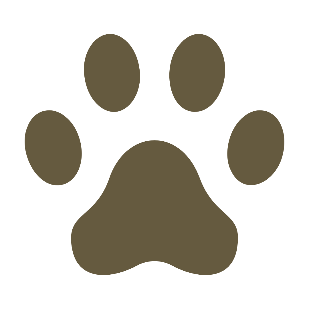 A large, beige paw print with four oval toes and a rounded pad.