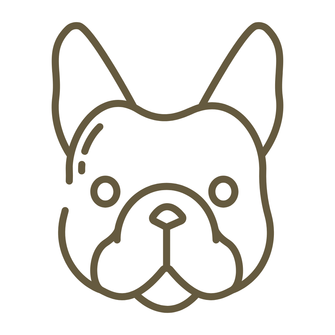 Minimalist line drawing of a French Bulldog's face with prominent ears.