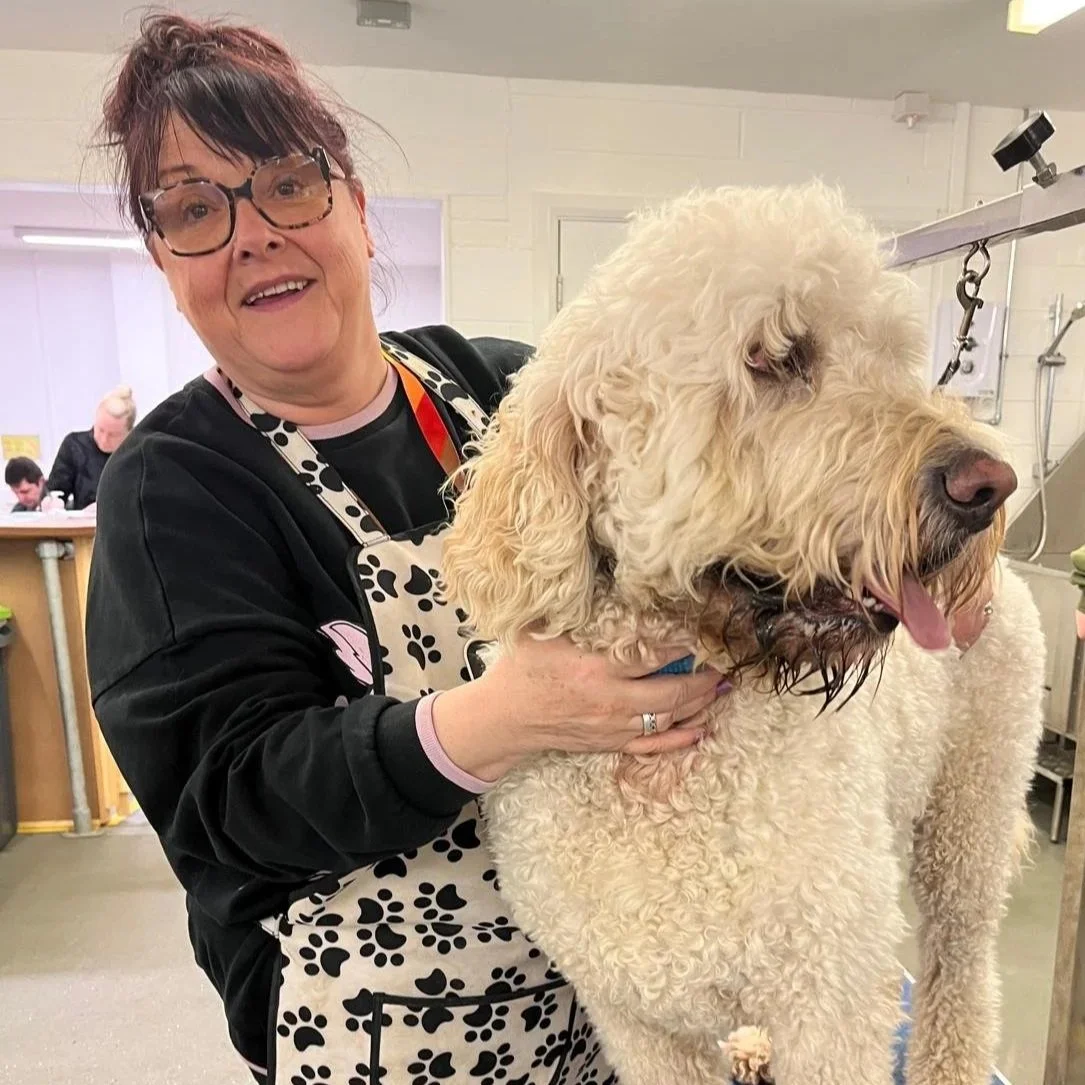 A woman with glasses smiling and wearing a paw print apron holding a large, curly-haired dog at a grooming or veterinary facility.