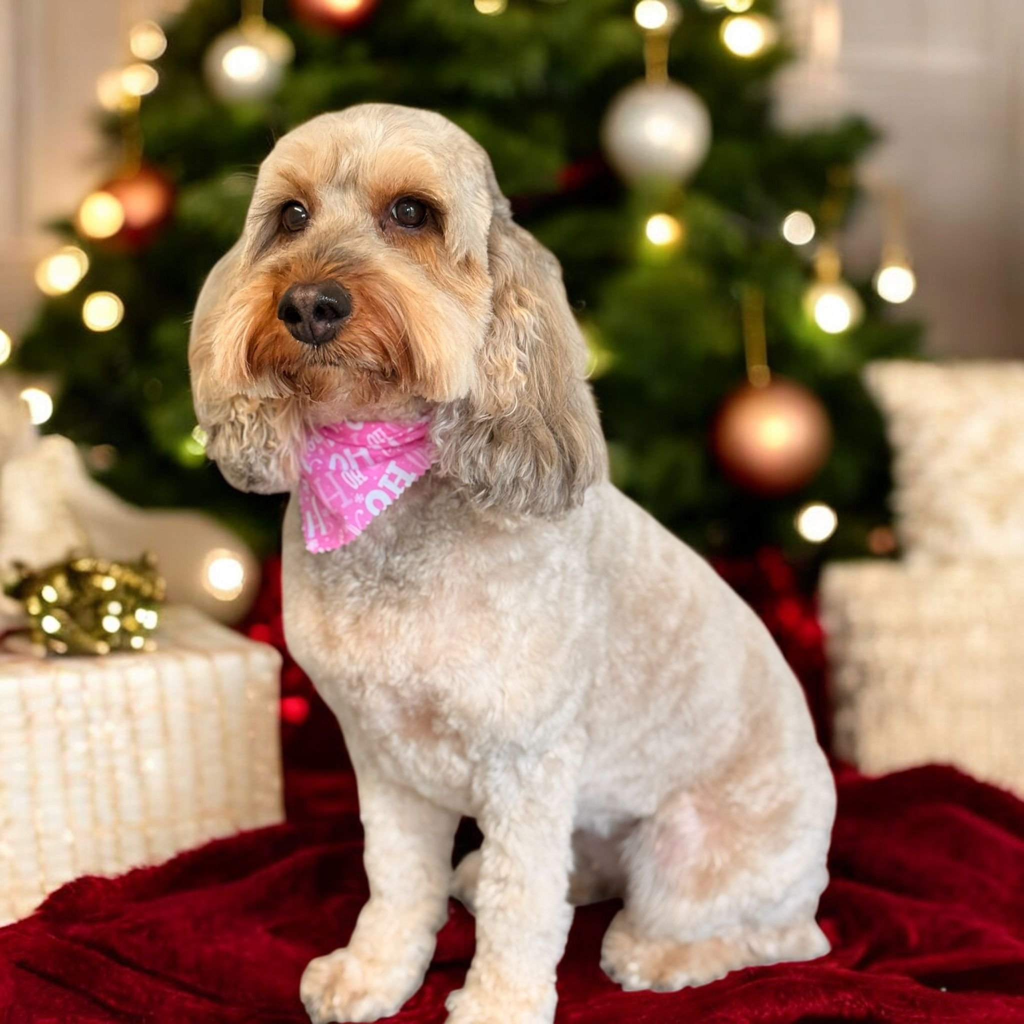 Photo from PS (2).jpg