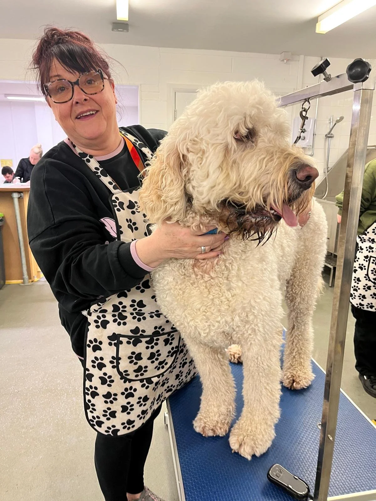 A woman with glasses and a paw-print apron is smiling while holding a large, curly-haired dog on a grooming table at a pet grooming salon.