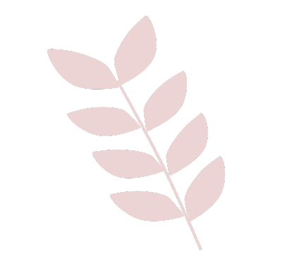 Illustration of a light pink leaf branch on a black background.