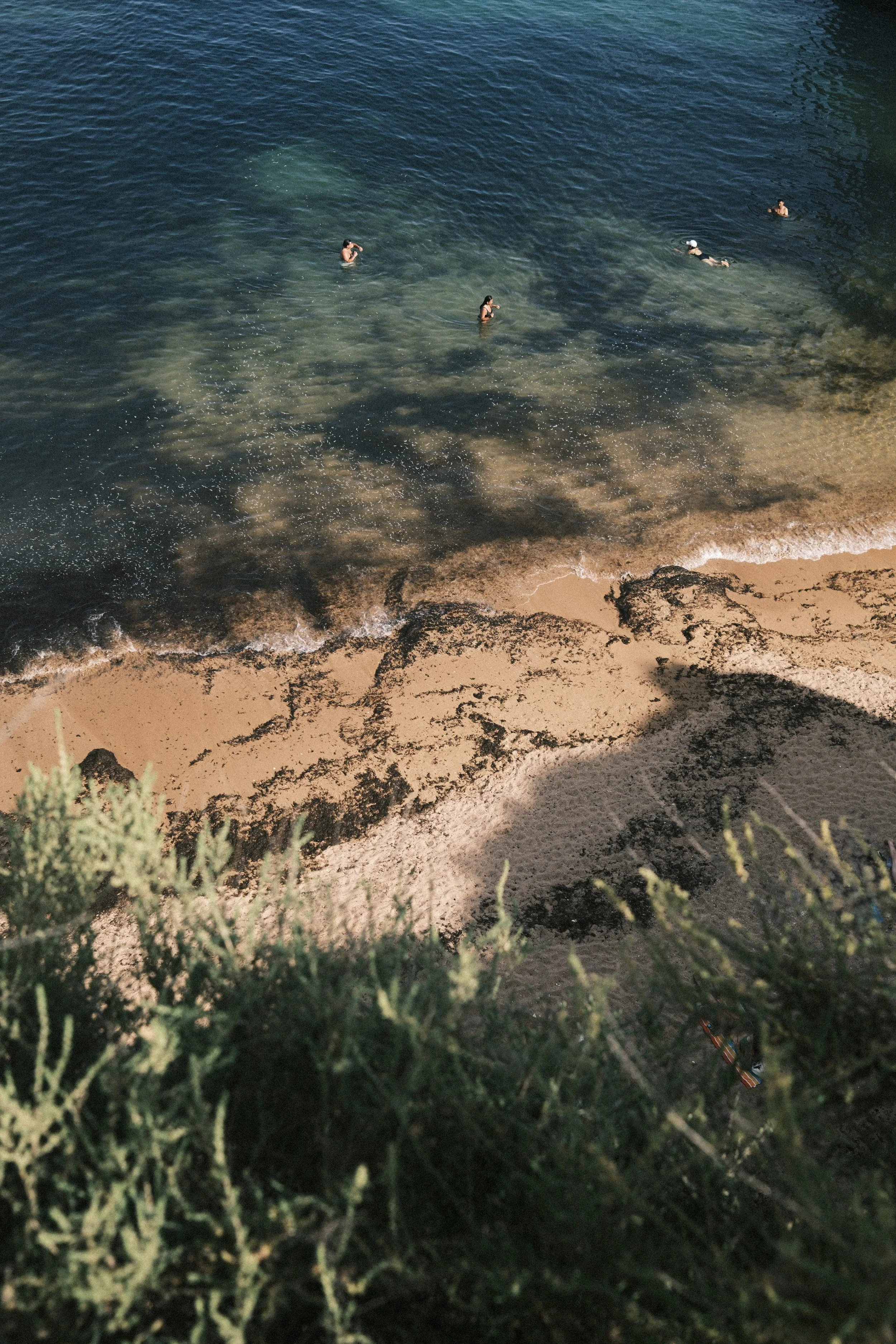 DSCF1411.jpg