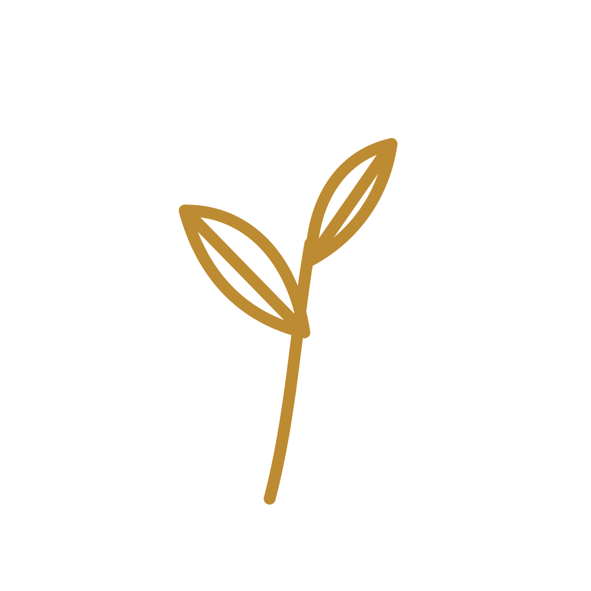 Black background with a gold line drawing of a small plant with two leaves.