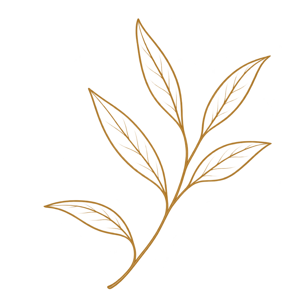 Illustration of a plant with a brown stem and leaves that have red and black stained patterns.