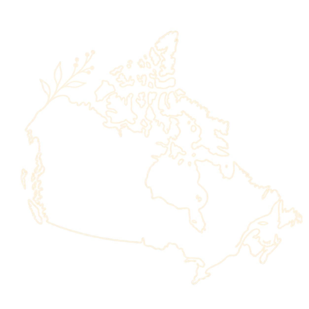 Outline map of the state of New York with a decorative olive branch.