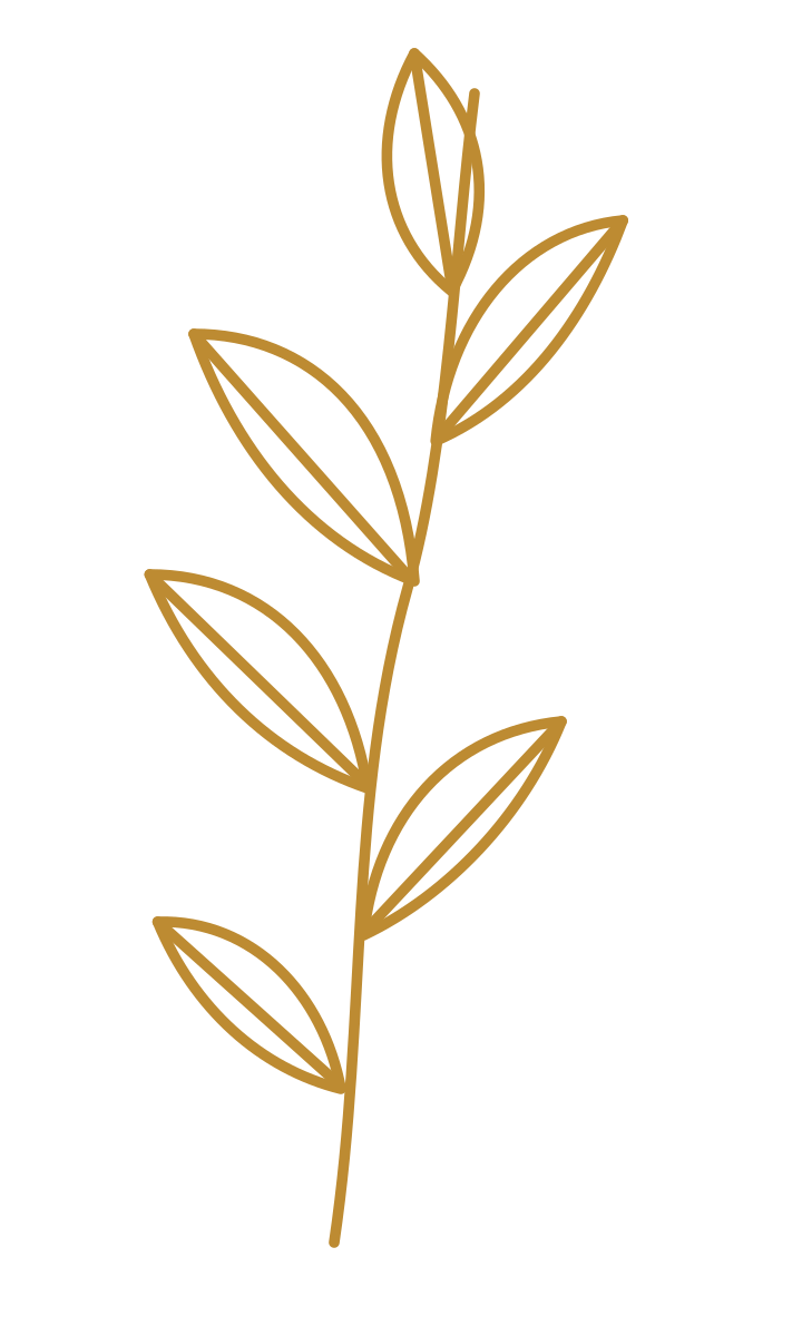 Outline of a brown leafy branch on a black background.