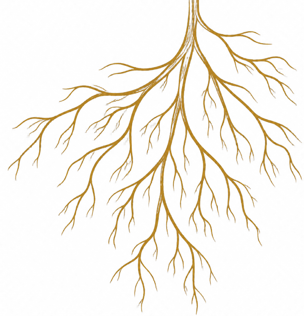 A diagram of a human neural network with interconnected yellow-orange neurons on a transparent background.