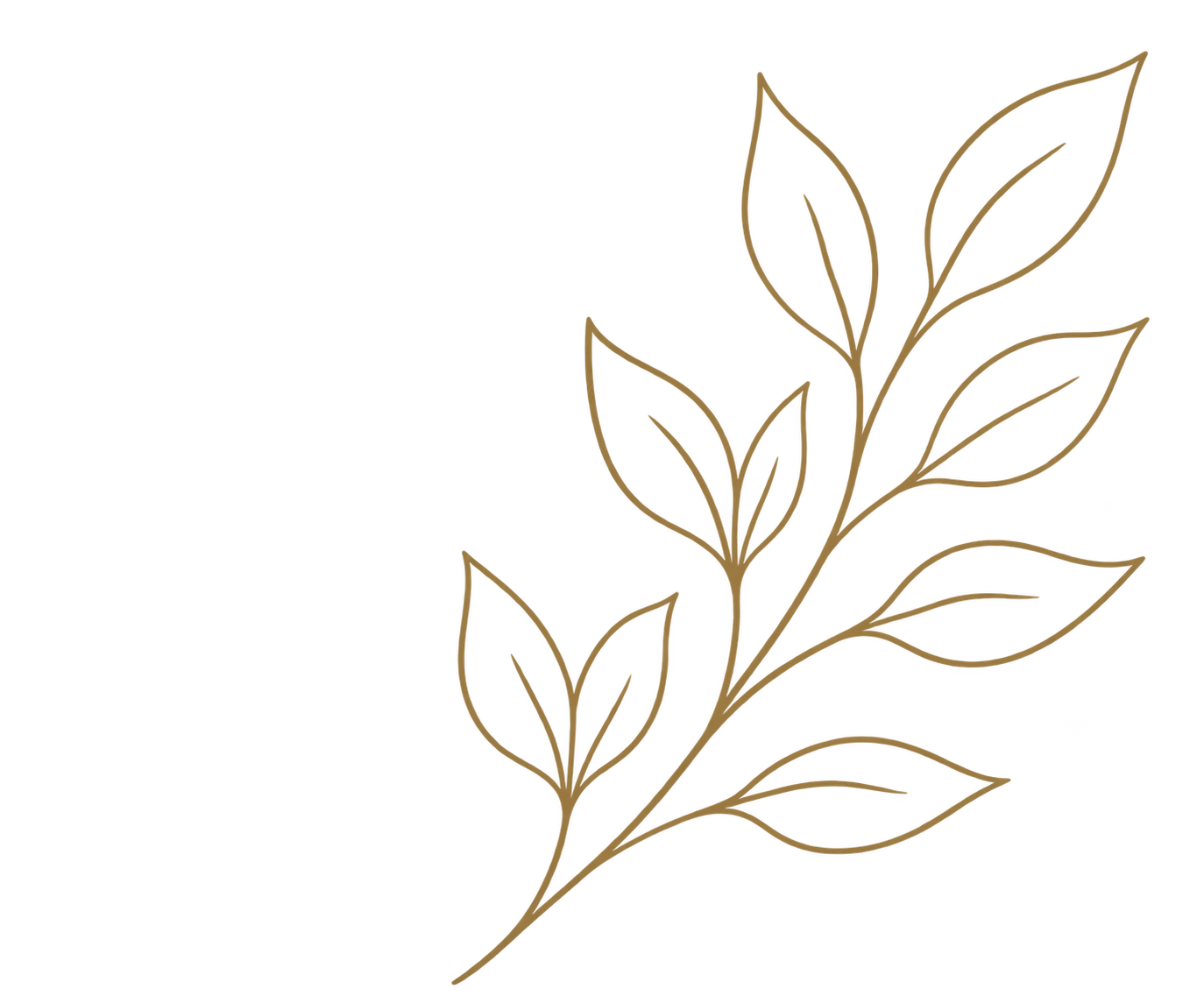 A stylized line drawing of a leaf branch with multiple elongated leaves, in brown with red accents.