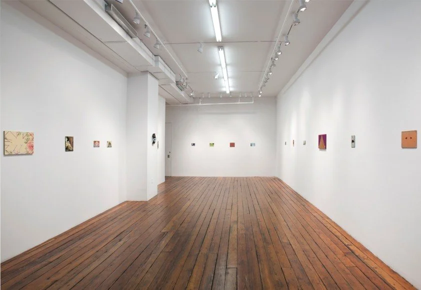 Phantom Hand, Installation View, 2012