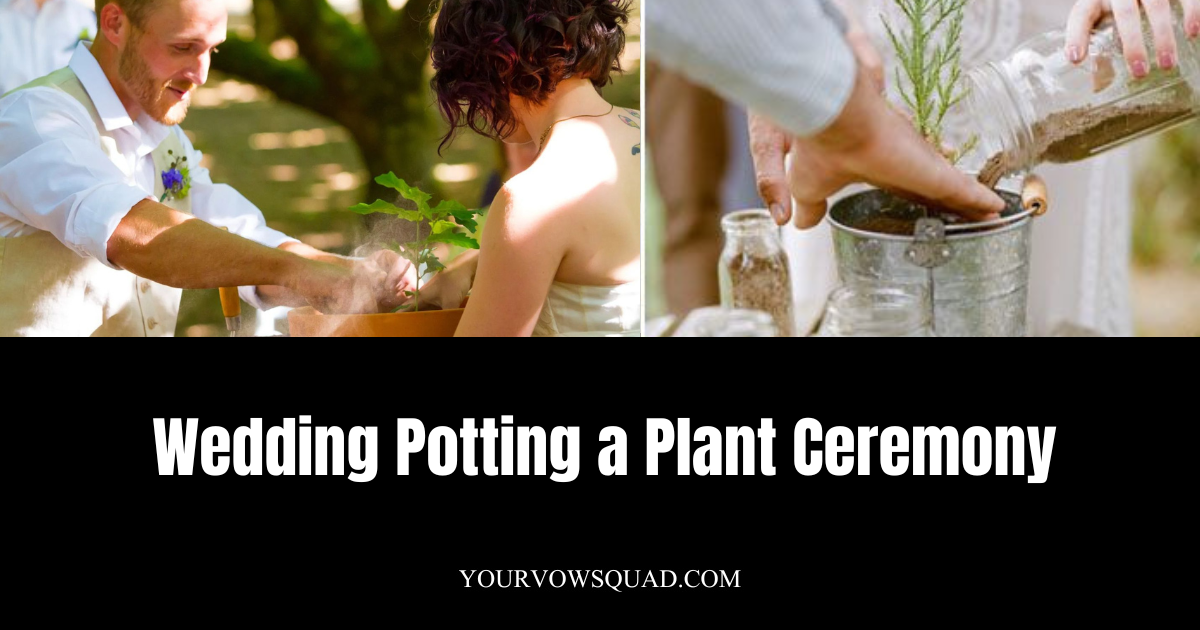 Wedding Potting a Plant Ceremony Meaning: Symbolism, Ritual, and Modern Trends
