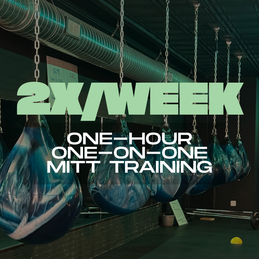 One-Hour One-on-One Mitt Training (2/week)