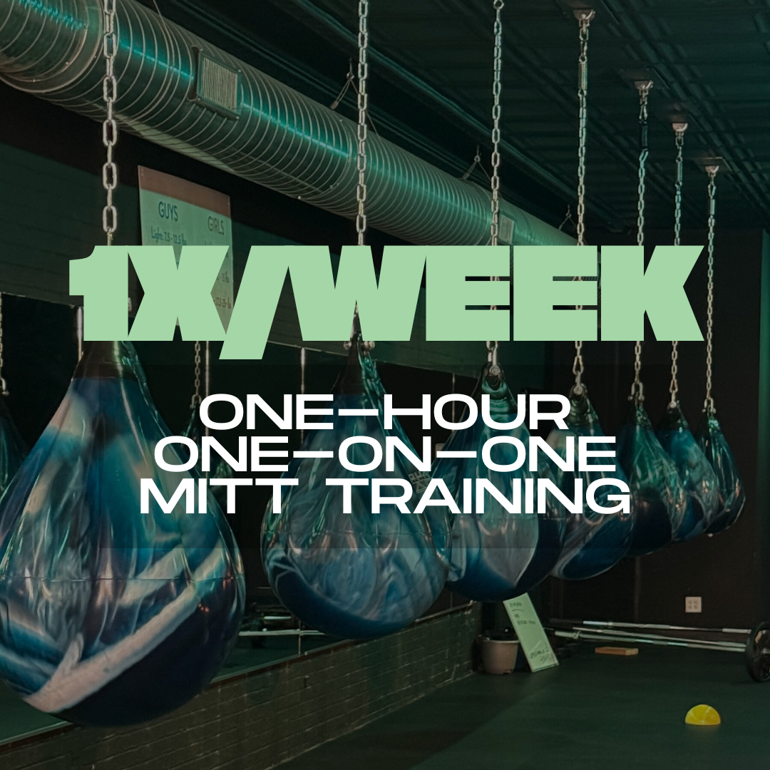 One-Hour One-on-One Mitt Training (1/week)