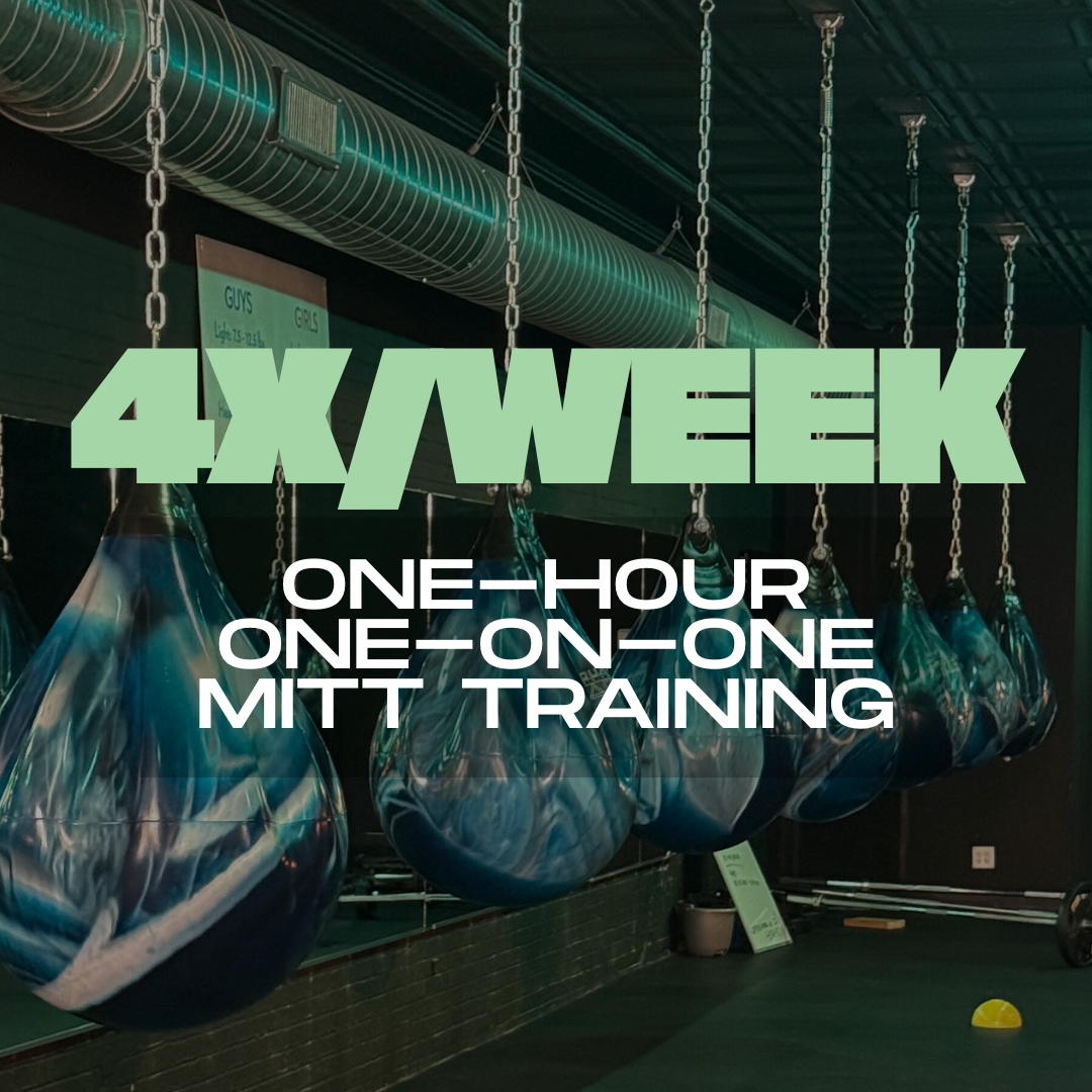One-Hour One-on-One Mitt Training (4/week)