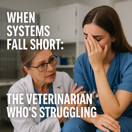 When Systems Fall Short: Supporting the Veterinarian Who’s Struggling