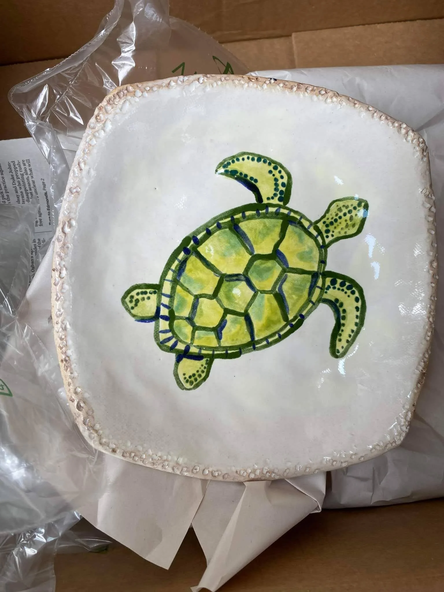 A cake with a hand-painted turtle design on top, surrounded by a border of white icing beads.