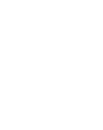 Icon with a lock and shield