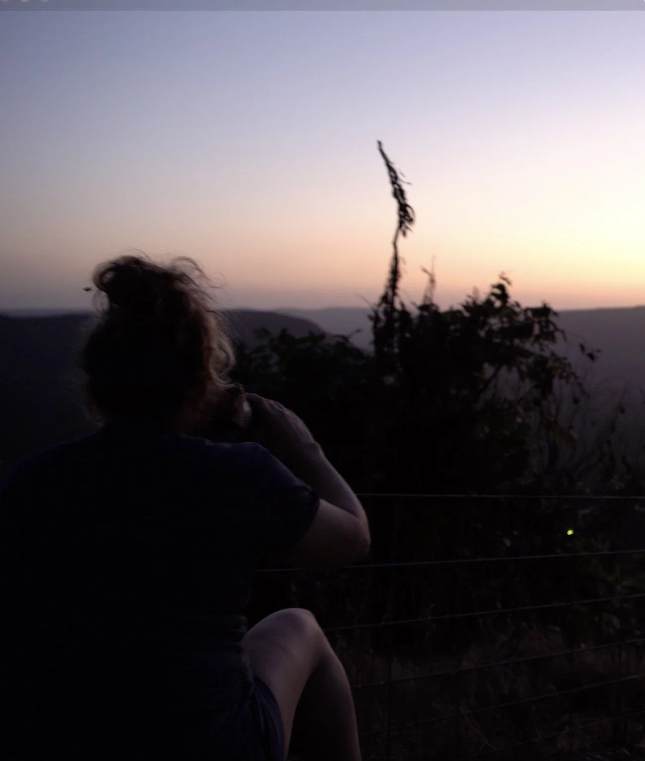 Image 01-03-2026 at 16.48.jpeg