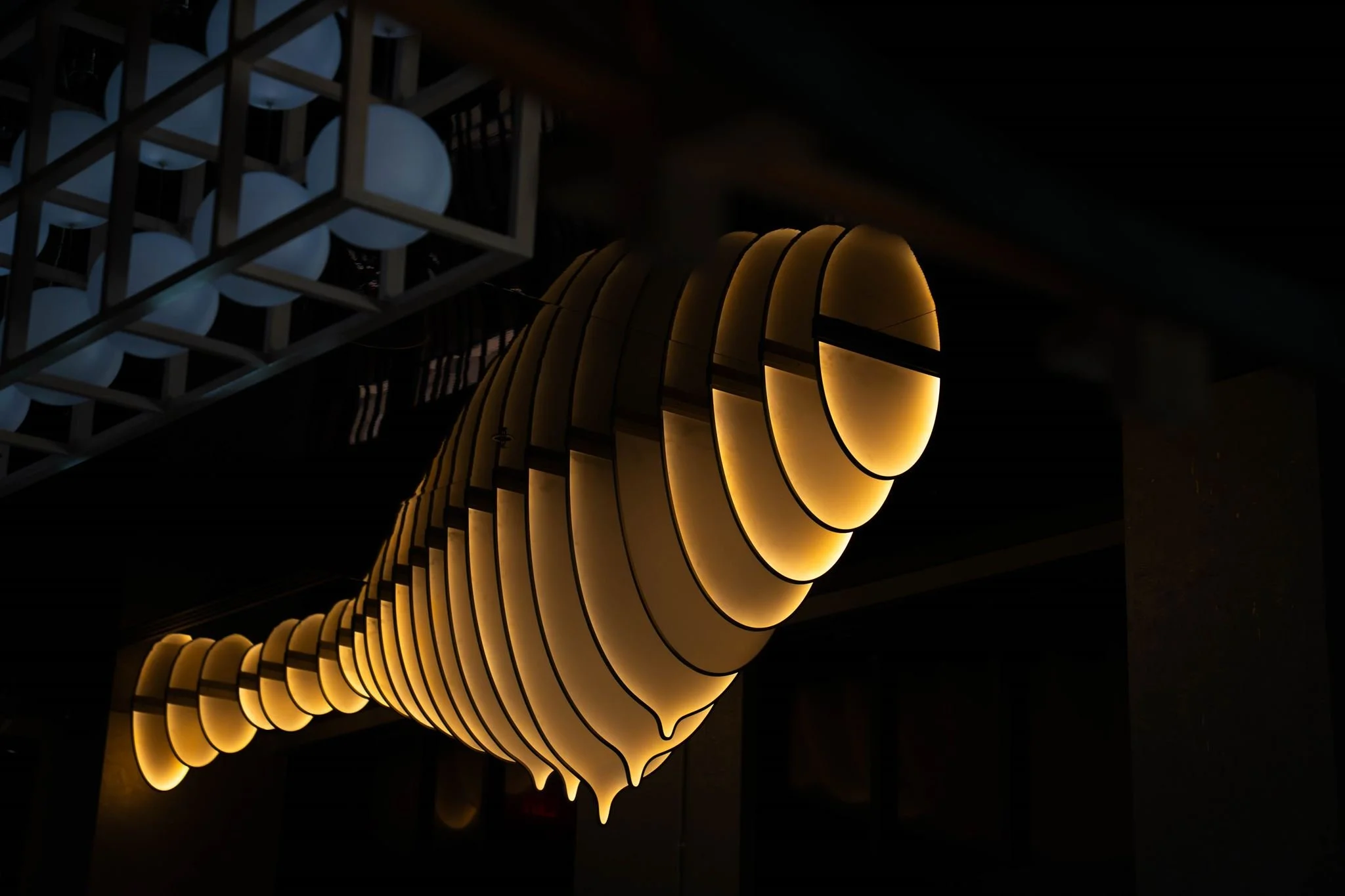 Okonori_BluefinTunaEvent-186.jpg