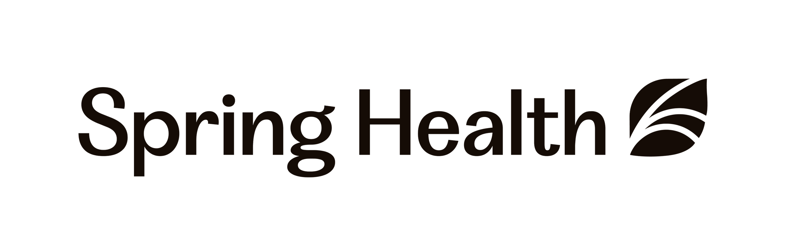 Spring Health.webp