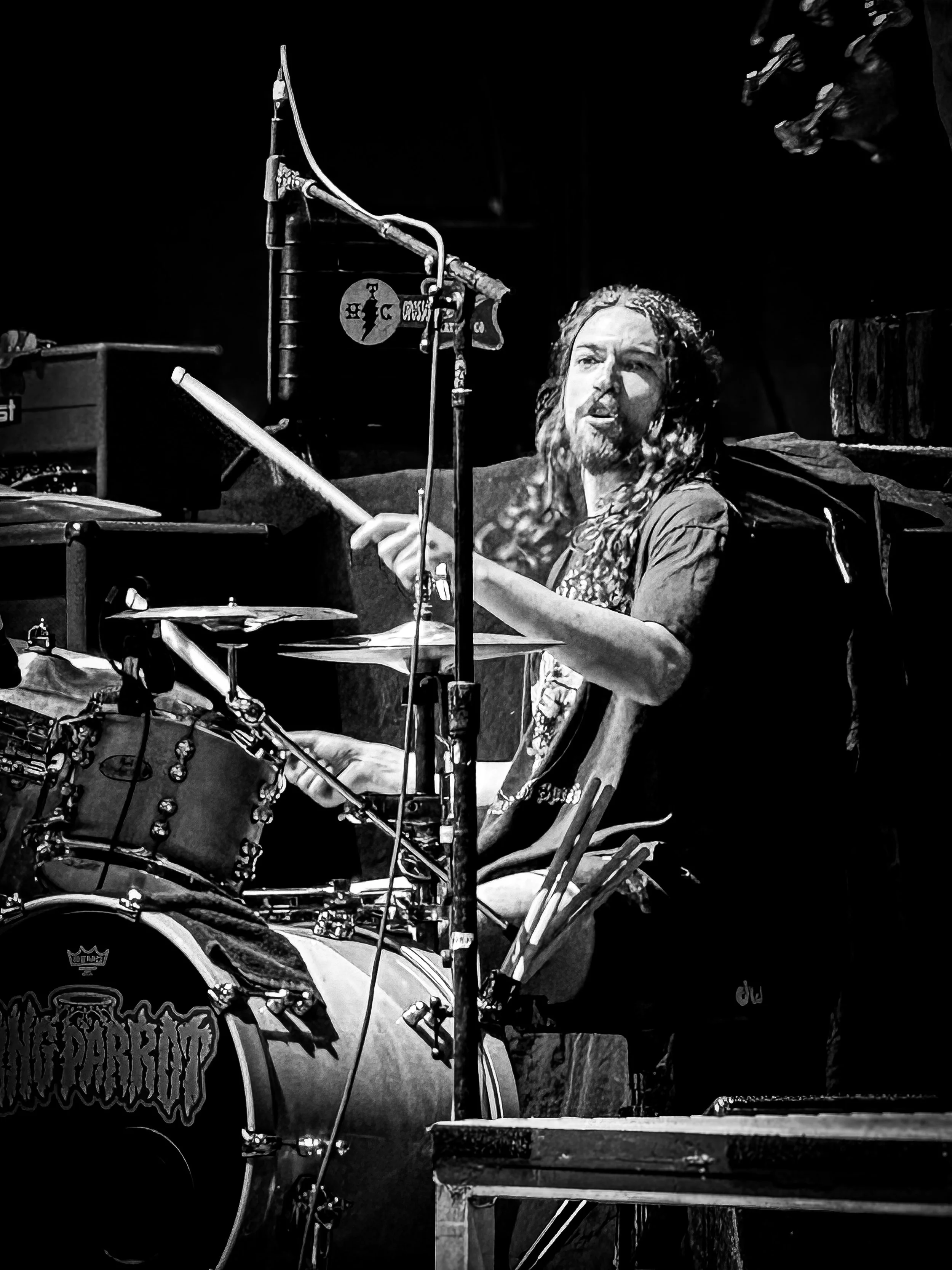 Max Dangerfield - King Parrot Band