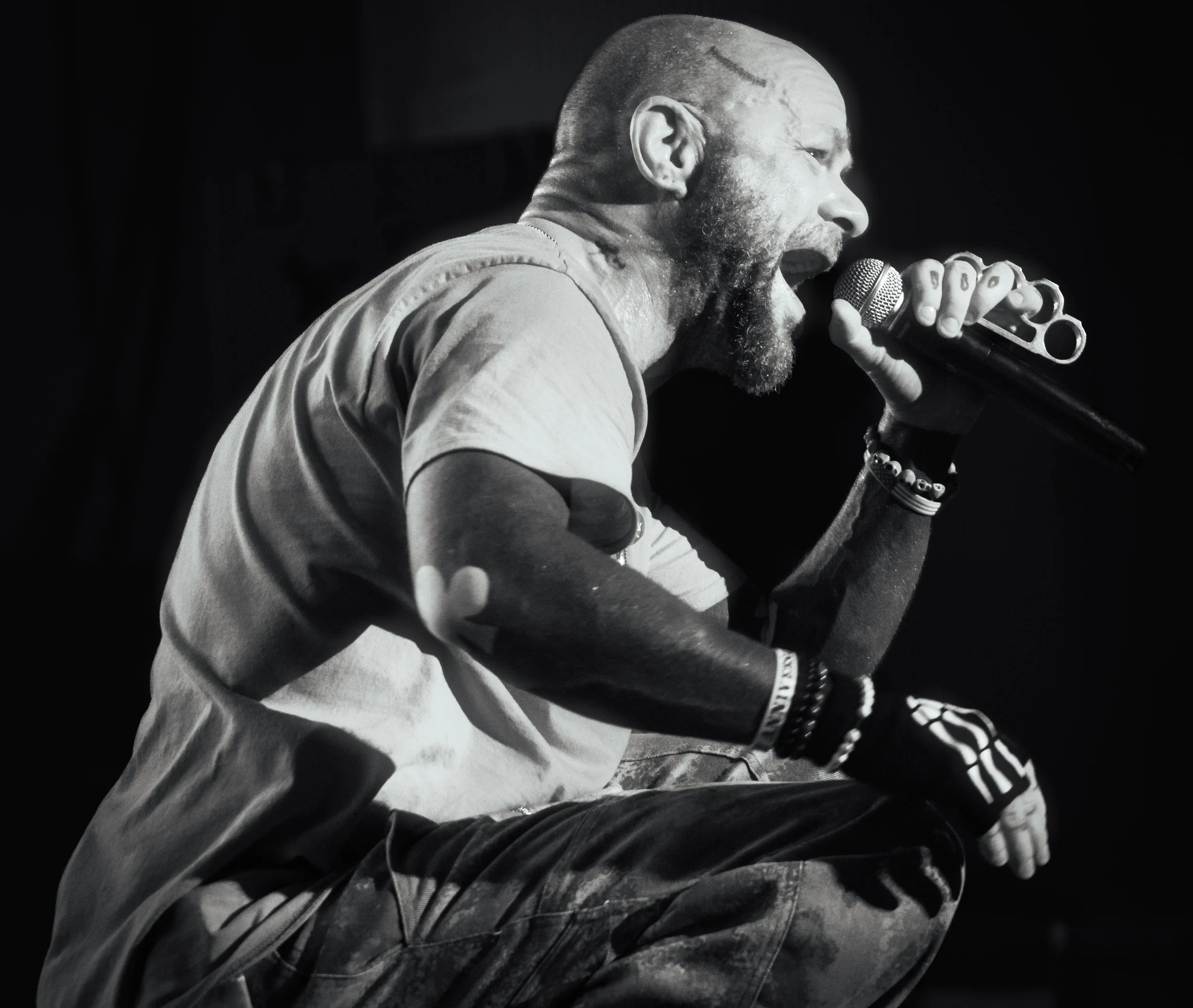 Five Finger Death Punch PNC August 2026 Pic 4.jpeg
