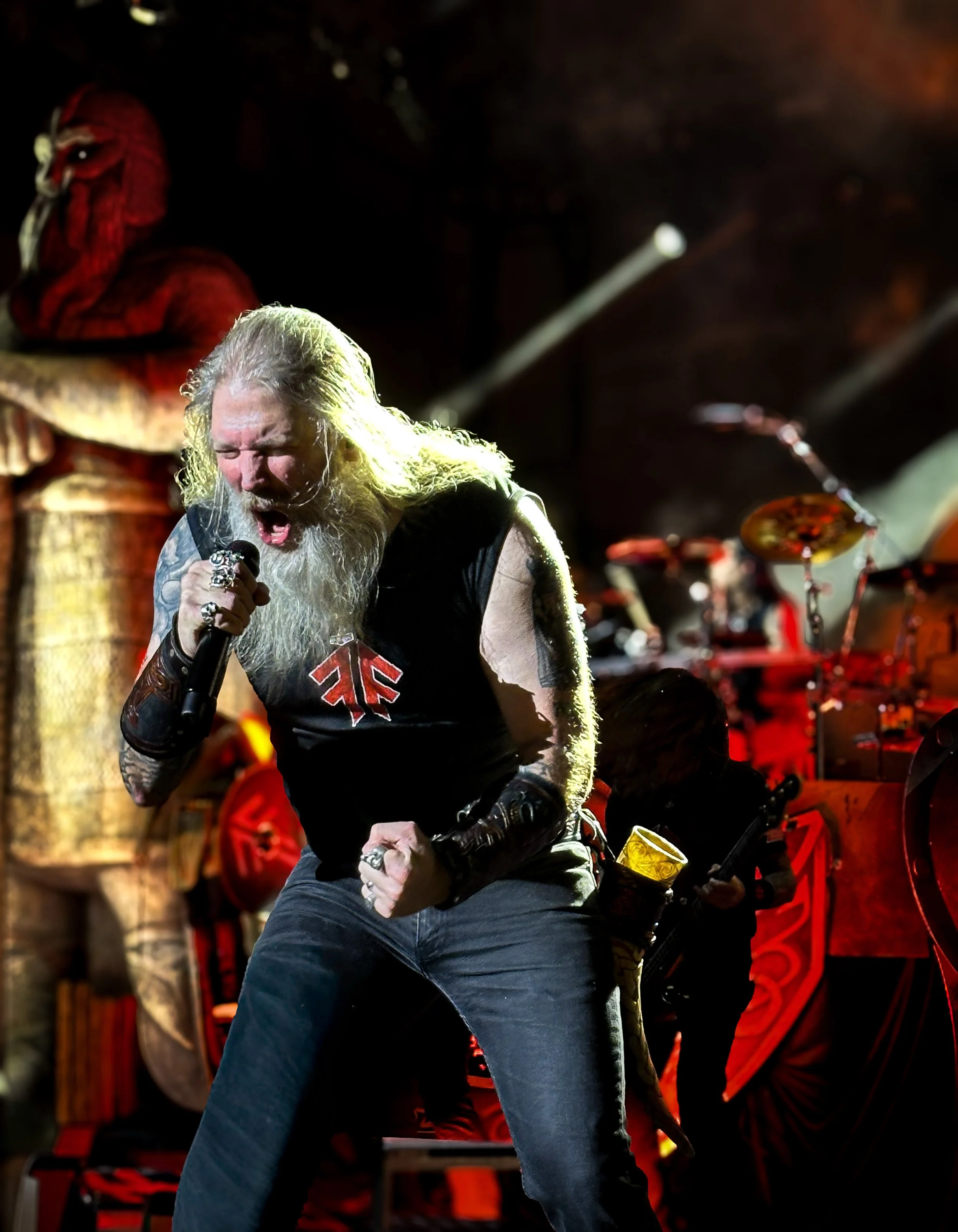 Amon Amarth 2025 pic 3.jpg
