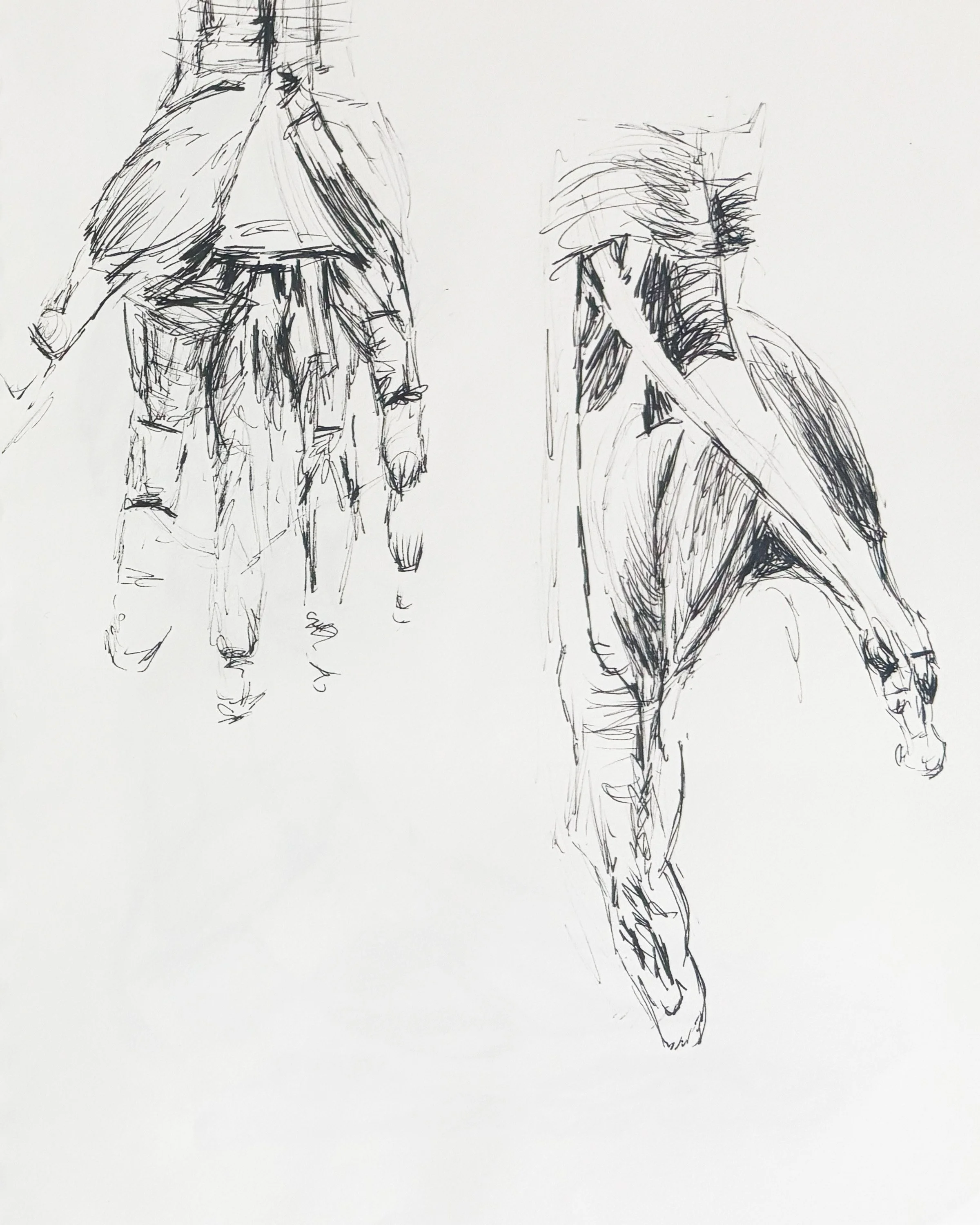 Anatomy Study - Sketch 3.jpg