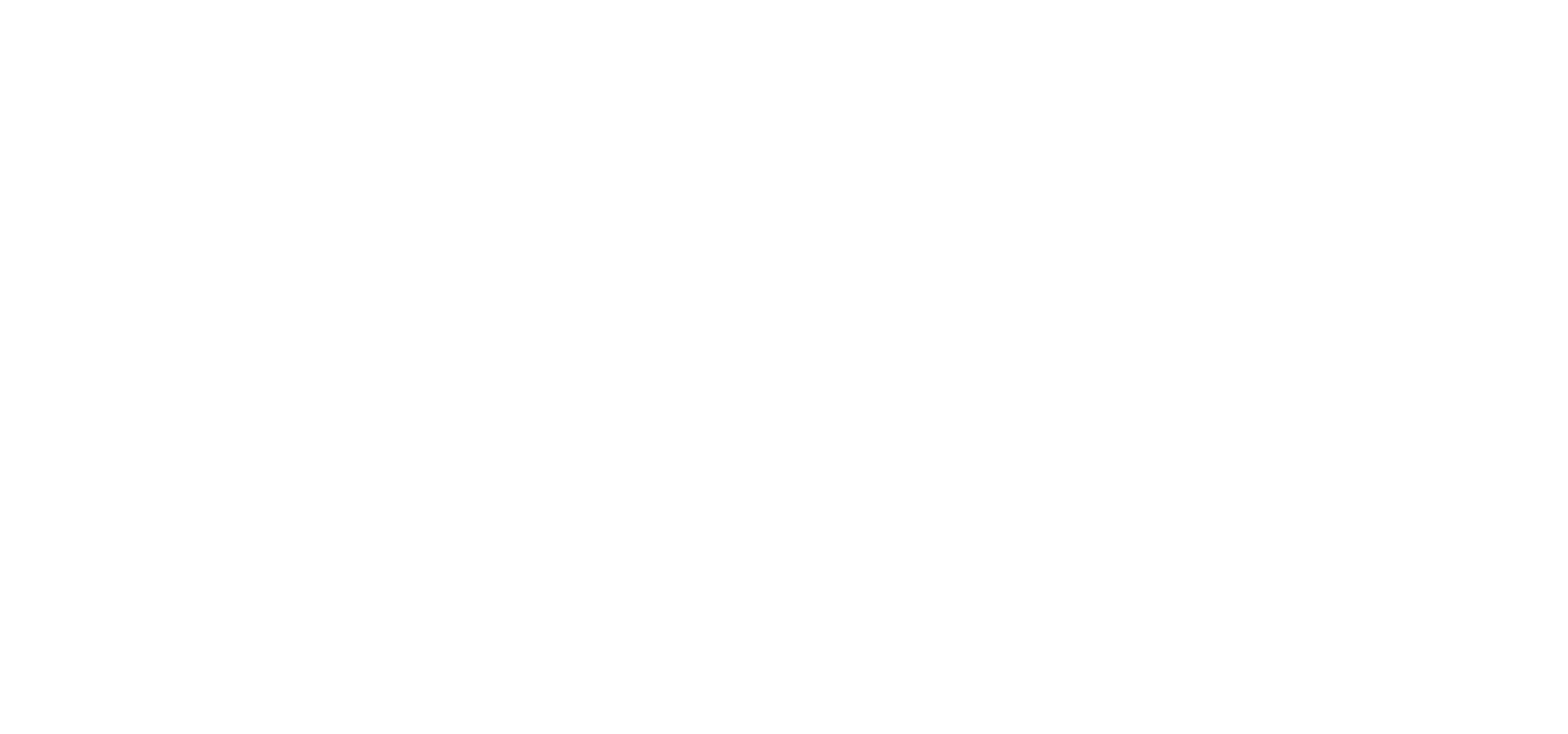 Copy of Soft Source_Logo.png