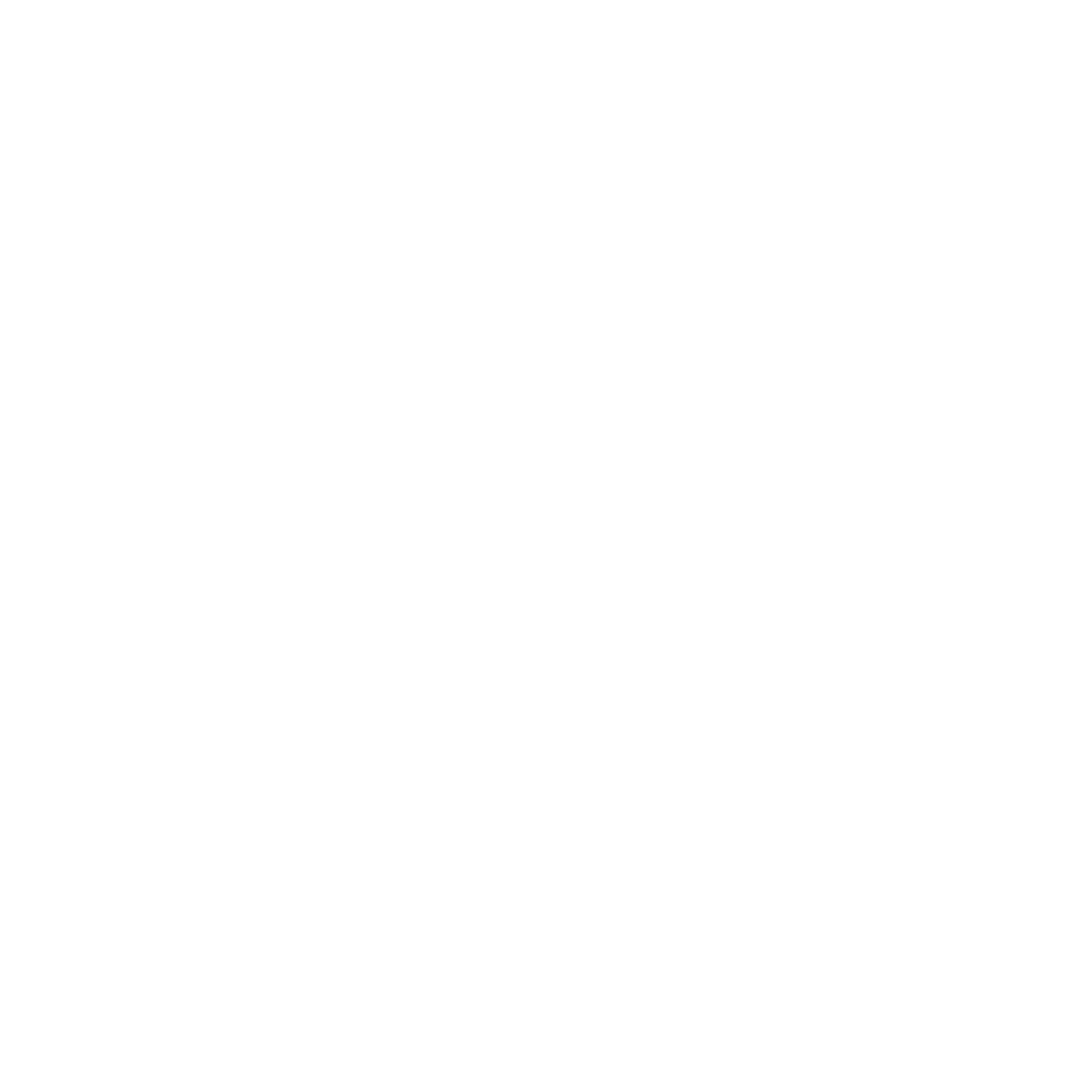 Studio Noori Logo White.png