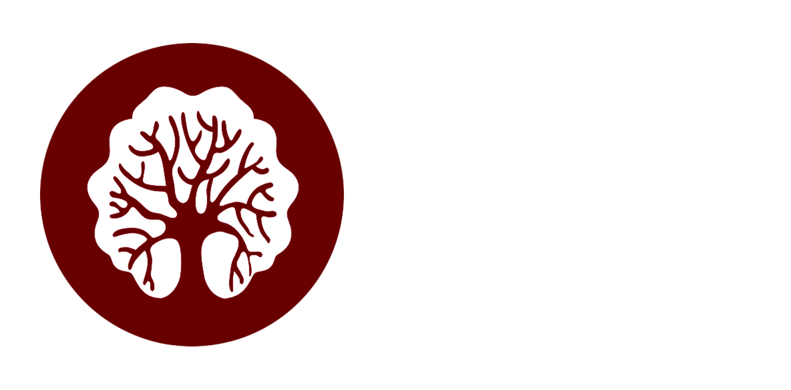 InEvLogotype-Beyaz.png