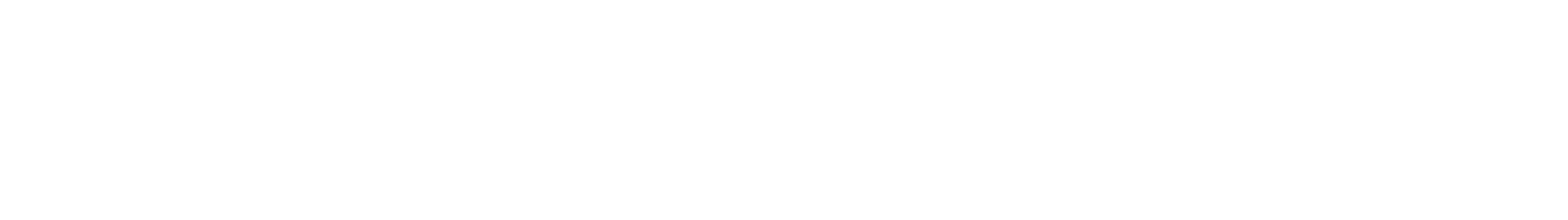 white_ZeitgeistStudio_logo.png