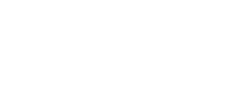 Developer Logo.png