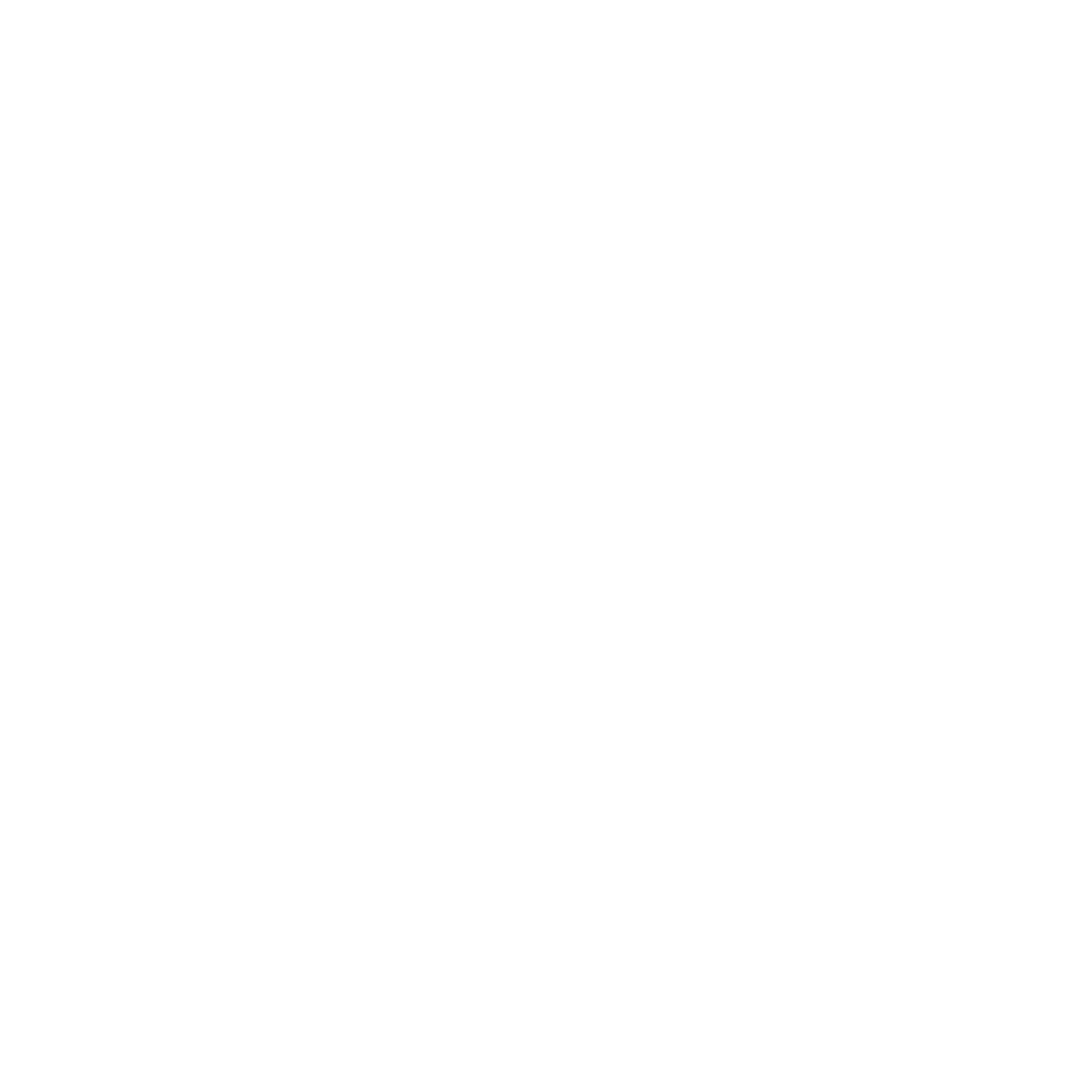 XCG Logo White 2.png